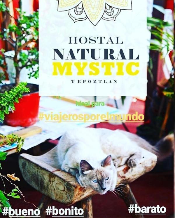 Natural Mystic Hostal Tepoztlán Exteriér fotografie
